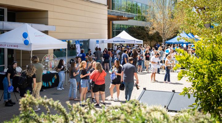 Decision Day at Seawolf plaza