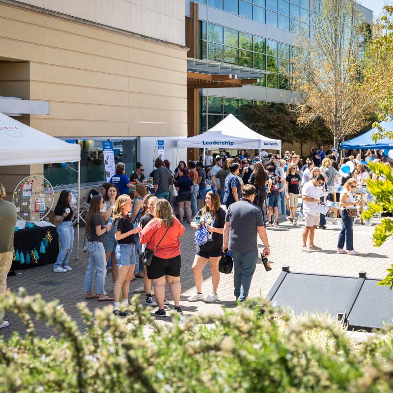Decision Day at Seawolf plaza